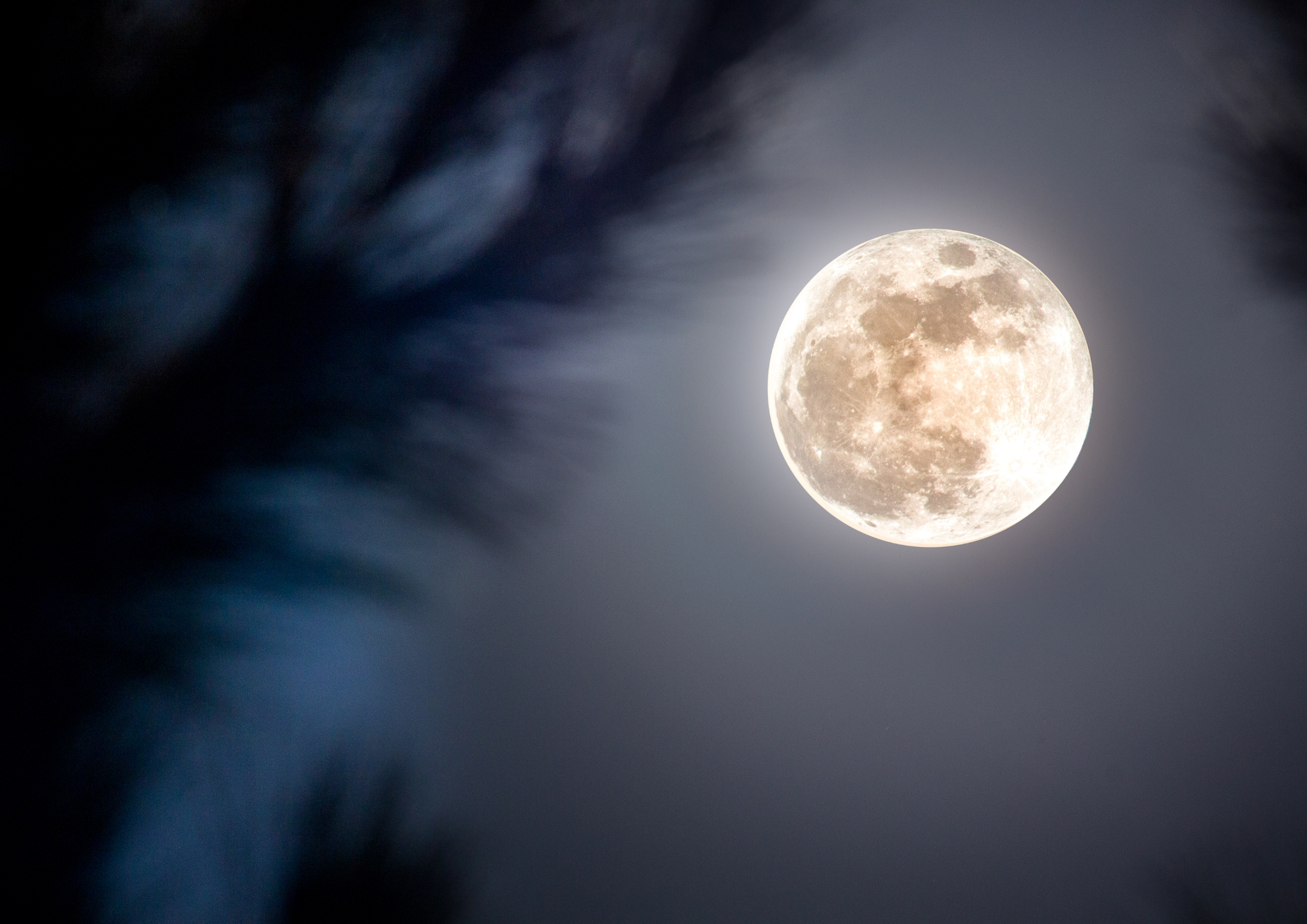 Nathalie Latic maitre enseignant reiki